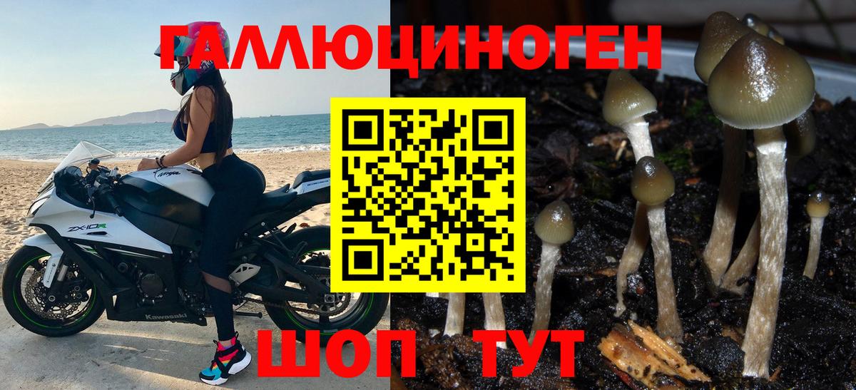 где найти наркотики  Вход с VPN  Сегежа  Псилоцибиновые грибы мухоморы 