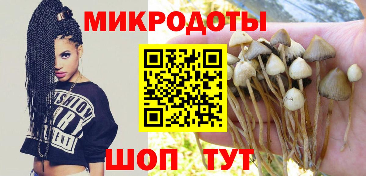 Галлюциногенные грибы ЛСД Сегежа